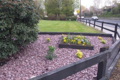 Naas Access Disability Group