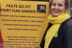 Naas Access Disability Group