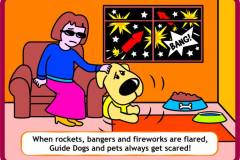 When rockets, bangers and fireworks are flared, Guide Dogs and pets always get scared!
