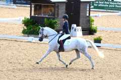 Dressage-photo-1