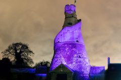 Collage which includes Leixlip Area from “Light up for Disability Week”. Including Wonderful Barn and Rye Bridge