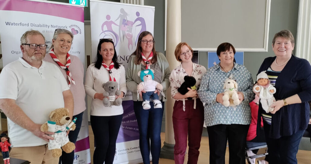 Maynooth Access Group