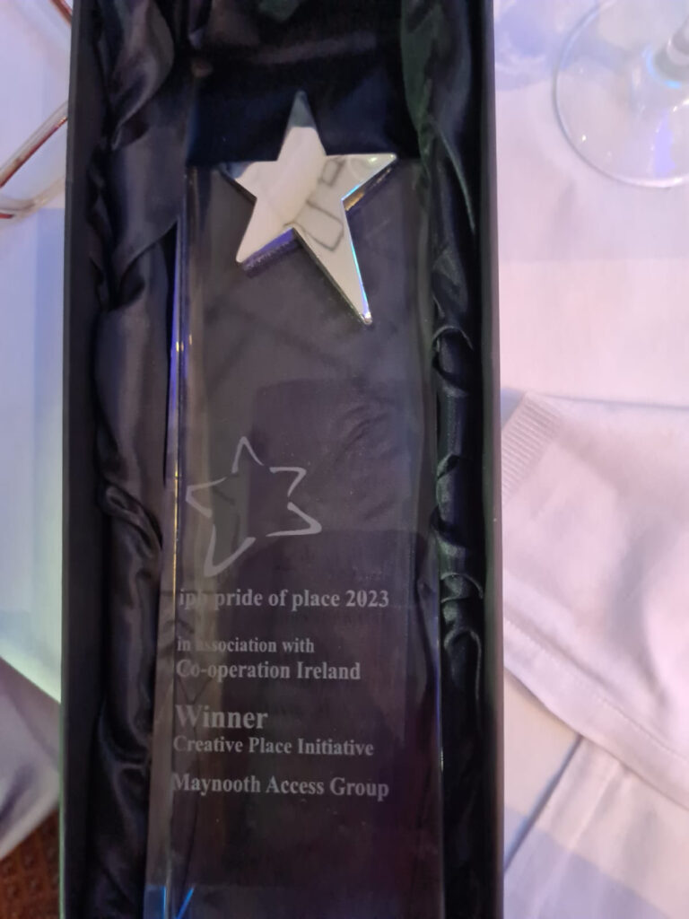 Winner Creative Place Initiative Maynooth Access Group