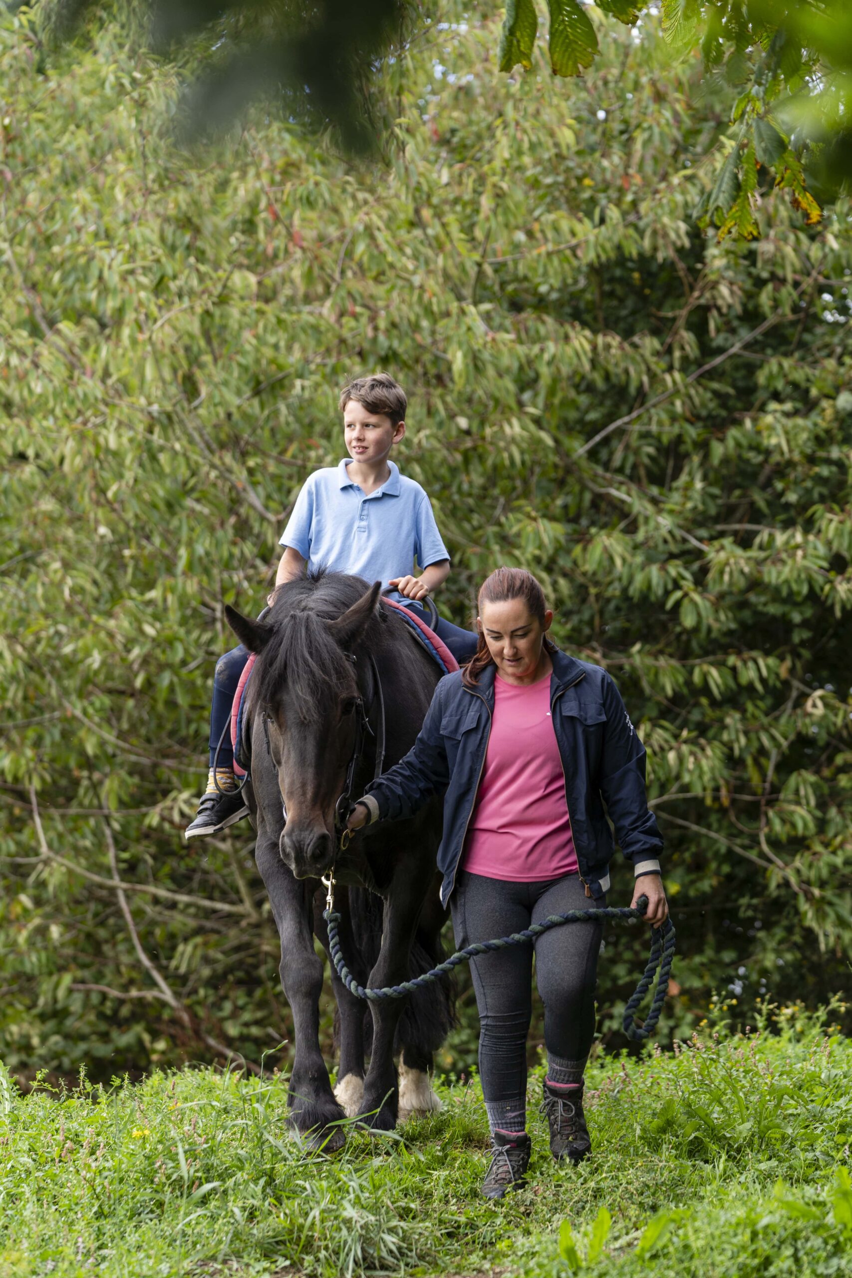 Kildare Inclusivity Festival – Come and meet the Stewarts Care Regional Equine Therapy Hub